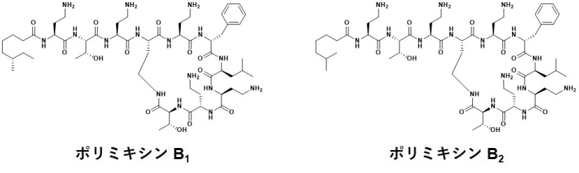 図2. ポリミキシン類の構造