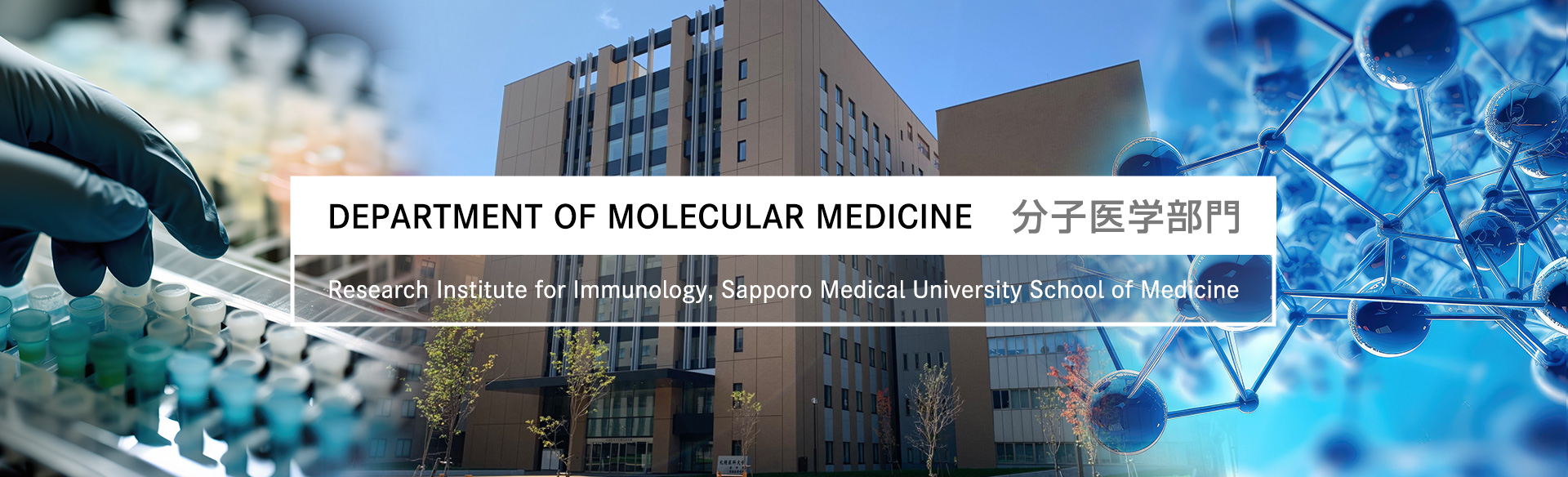 Department of Molecular MedicineҽѧT / Research Institute for Immunology, Sapporo Medical University School of Medicine